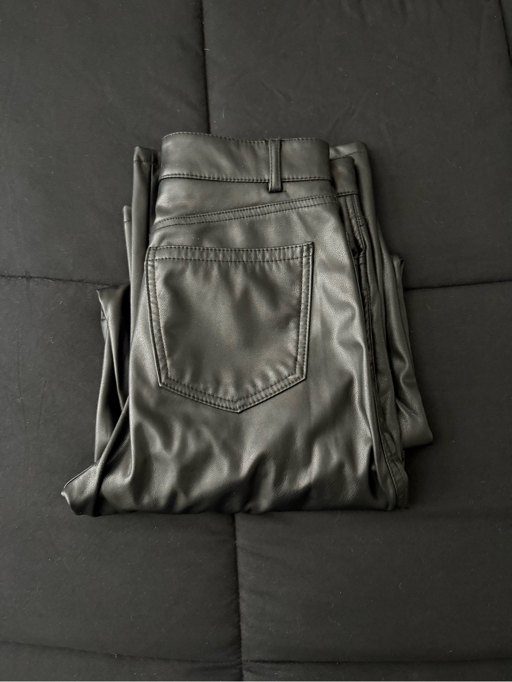 Garage Brooke Faux Leather Pants Small